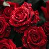 amelamoula822