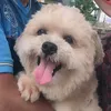 suntichai001313