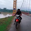 dainhan.vn
