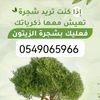 sagar222ss
