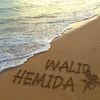 walid.hemida