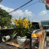 phuquy6568