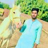 mianhaseeb343