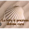 annalombardo8570