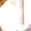 pretinh4.com