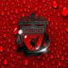 dizo_23