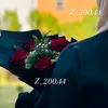 z_200.44