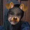 risma_sopi