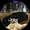 .szx17