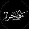 a.li_313e