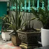ngocngoc_189