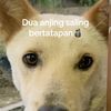 akun.gabut.478