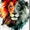 leonardosilva6394