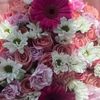 amina.rajab2