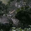 iuill_4