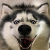boykevpra