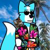 dandycadet