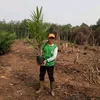 pakguru033