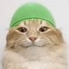 www.tiktok.comtobtobitob