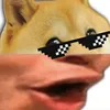 poggodoggoh
