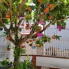 thienbinh645