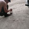 dangtran94..1