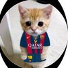 rizz_fc12
