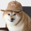 le_vibewastaken