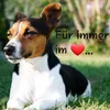 ralfnachsel