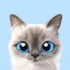 meekaew_