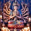 giadungkimanh_hcm