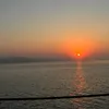 ddaamarr_