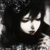 .leonami