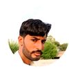 hasan.ali0725
