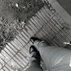 eliza.cm_