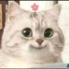 rendyarf_