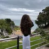 carlotaa_t.c