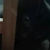 anthitnguoibeo666
