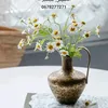 alaouinezhagamile.com