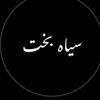 ladiii555