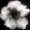 hello.ktty_fyall
