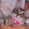 user4909635057360sarah
