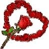 dy8pq1tyruh7