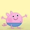 loic_hmrs