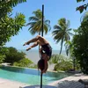 pole.in.thesky