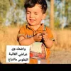 mh_k26