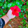 nasma_202288