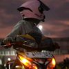 januar_gz