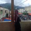 ayusri1306