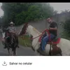 danilonegao547